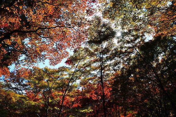 鉄　は　熱　い　う　ち　に　打　て　　　　(*ﾟ∀ﾟ)=3ﾑｯﾊｰ