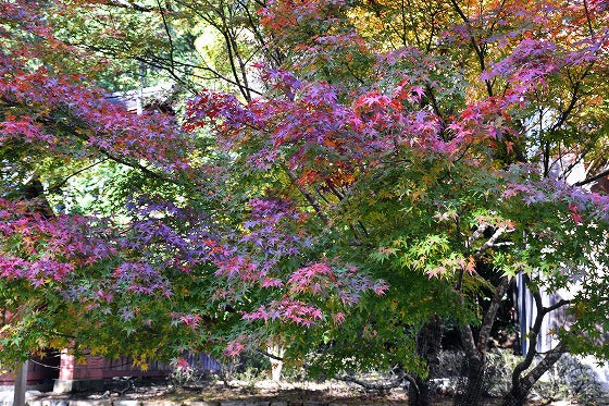 鉄　は　熱　い　う　ち　に　打　て　　　　(*ﾟ∀ﾟ)=3ﾑｯﾊｰ