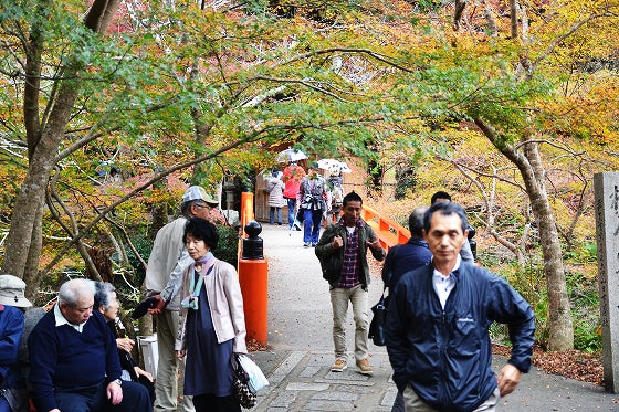 鉄　は　熱　い　う　ち　に　打　て　　　　(*ﾟ∀ﾟ)=3ﾑｯﾊｰ