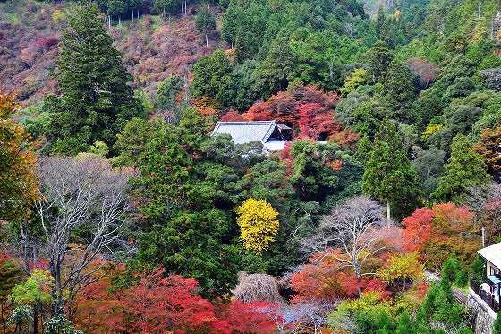 鉄　は　熱　い　う　ち　に　打　て　　　　(*ﾟ∀ﾟ)=3ﾑｯﾊｰ