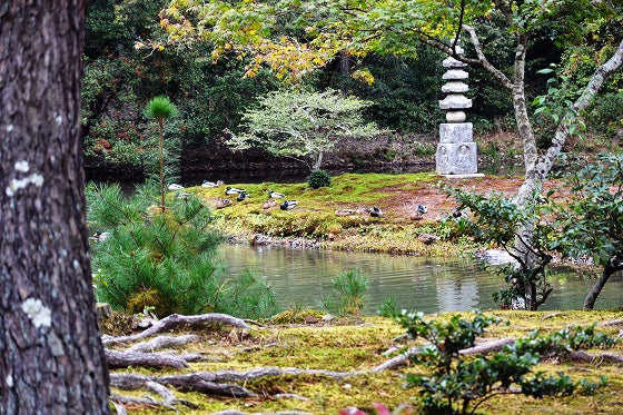 鉄　は　熱　い　う　ち　に　打　て　　　　(*ﾟ∀ﾟ)=3ﾑｯﾊｰ