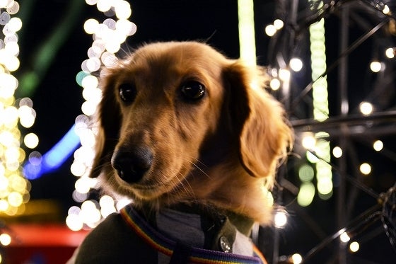 鉄　は　熱　い　う　ち　に　打　て　　　　(*ﾟ∀ﾟ)=3ﾑｯﾊｰ