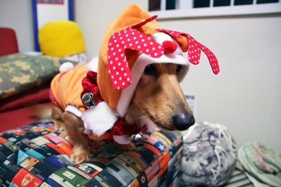 鉄　は　熱　い　う　ち　に　打　て　　　　(*ﾟ∀ﾟ)=3ﾑｯﾊｰ