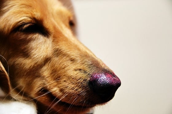 鉄　は　熱　い　う　ち　に　打　て　　　　(*ﾟ∀ﾟ)=3ﾑｯﾊｰ