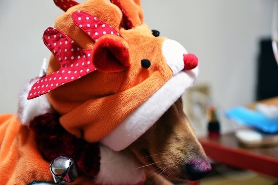 鉄　は　熱　い　う　ち　に　打　て　　　　(*ﾟ∀ﾟ)=3ﾑｯﾊｰ