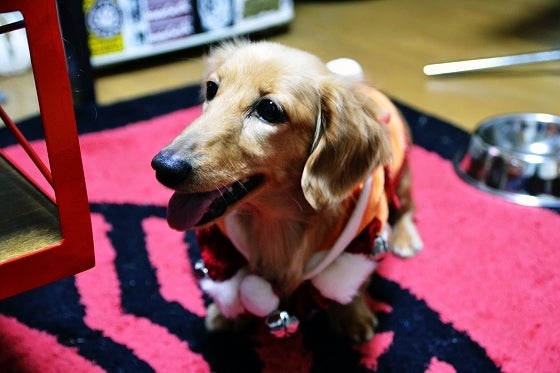 鉄　は　熱　い　う　ち　に　打　て　　　　(*ﾟ∀ﾟ)=3ﾑｯﾊｰ