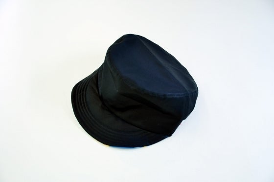 鉄　は　熱　い　う　ち　に　打　て　　　　(*ﾟ∀ﾟ)=3ﾑｯﾊｰ