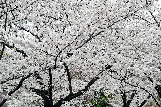 鉄　は　熱　い　う　ち　に　打　て　　　　(*ﾟ∀ﾟ)=3ﾑｯﾊｰ