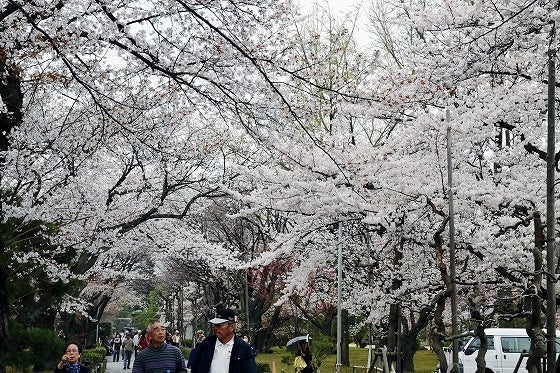 鉄　は　熱　い　う　ち　に　打　て　　　　(*ﾟ∀ﾟ)=3ﾑｯﾊｰ
