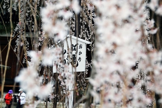 鉄　は　熱　い　う　ち　に　打　て　　　　(*ﾟ∀ﾟ)=3ﾑｯﾊｰ