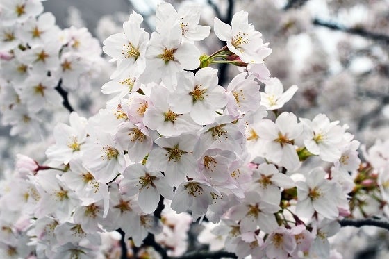 鉄　は　熱　い　う　ち　に　打　て　　　　(*ﾟ∀ﾟ)=3ﾑｯﾊｰ