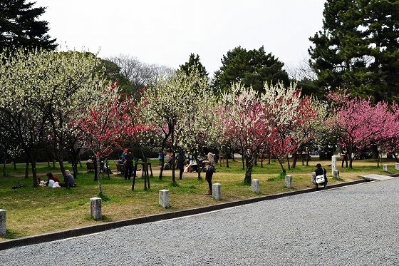 鉄　は　熱　い　う　ち　に　打　て　　　　(*ﾟ∀ﾟ)=3ﾑｯﾊｰ