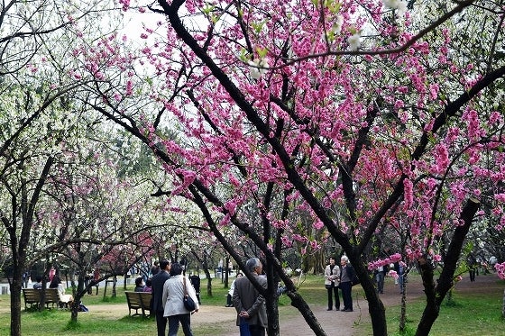 鉄　は　熱　い　う　ち　に　打　て　　　　(*ﾟ∀ﾟ)=3ﾑｯﾊｰ