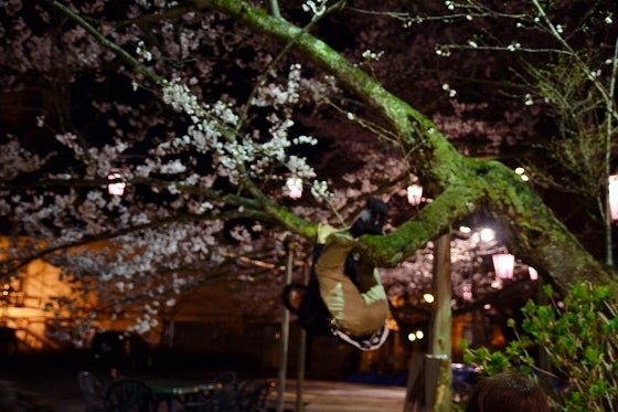 鉄　は　熱　い　う　ち　に　打　て　　　　(*ﾟ∀ﾟ)=3ﾑｯﾊｰ