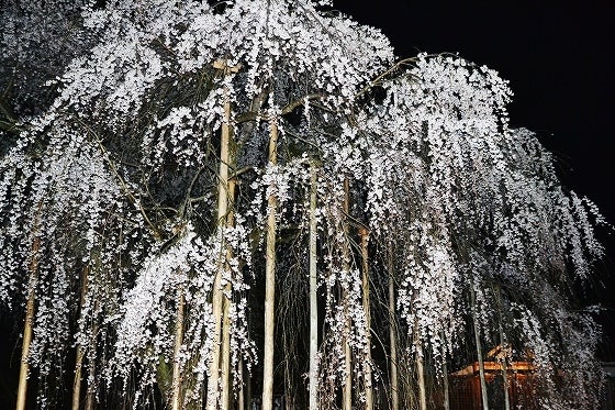 鉄　は　熱　い　う　ち　に　打　て　　　　(*ﾟ∀ﾟ)=3ﾑｯﾊｰ