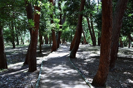 鉄　は　熱　い　う　ち　に　打　て　　　　(*ﾟ∀ﾟ)=3ﾑｯﾊｰ