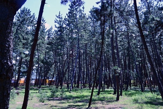 鉄　は　熱　い　う　ち　に　打　て　　　　(*ﾟ∀ﾟ)=3ﾑｯﾊｰ