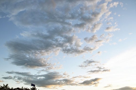 鉄　は　熱　い　う　ち　に　打　て　　　　(*ﾟ∀ﾟ)=3ﾑｯﾊｰ