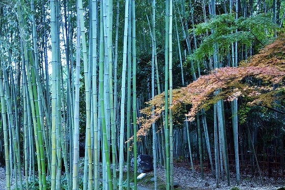 鉄 は 熱 い う ち に 打 て (*゚∀゚)=3ムッハー