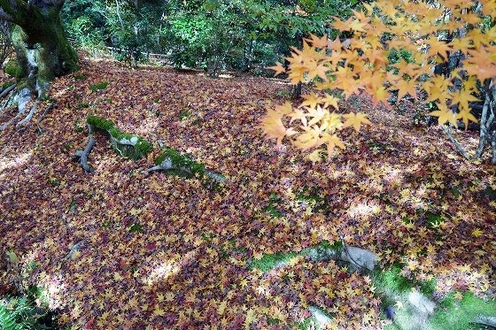 鉄 は 熱 い う ち に 打 て (*゚∀゚)=3ムッハー