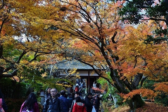 鉄 は 熱 い う ち に 打 て (*゚∀゚)=3ムッハー