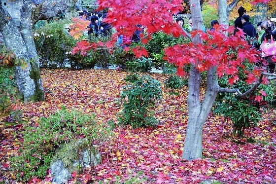 鉄 は 熱 い う ち に 打 て (*゚∀゚)=3ムッハー