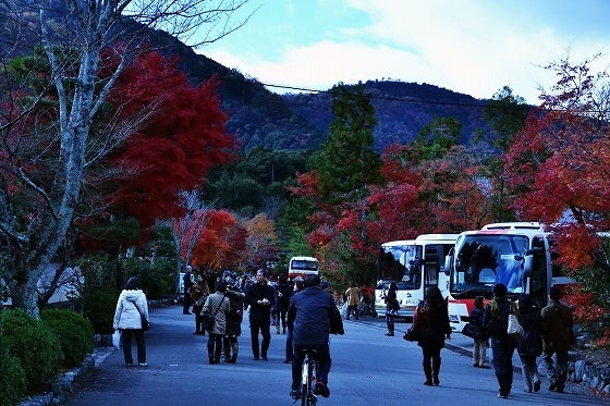 鉄 は 熱 い う ち に 打 て (*゚∀゚)=3ムッハー