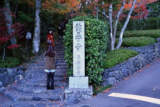 鉄 は 熱 い う ち に 打 て (*゚∀゚)=3ムッハー