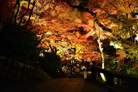 鉄 は 熱 い う ち に 打 て (*゚∀゚)=3ムッハー