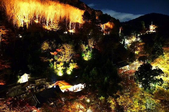 鉄 は 熱 い う ち に 打 て (*゚∀゚)=3ムッハー