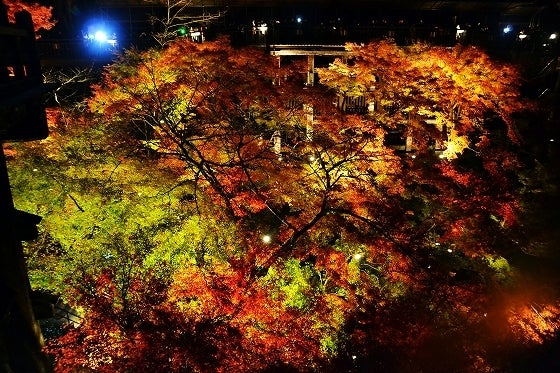 鉄 は 熱 い う ち に 打 て (*゚∀゚)=3ムッハー