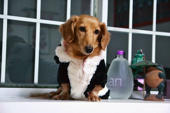 鉄　は　熱　い　う　ち　に　打　て　　　　(*ﾟ∀ﾟ)=3ﾑｯﾊｰ