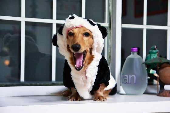 鉄　は　熱　い　う　ち　に　打　て　　　　(*ﾟ∀ﾟ)=3ﾑｯﾊｰ