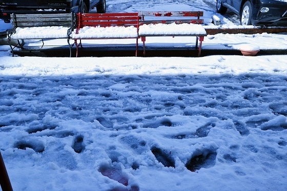 鉄　は　熱　い　う　ち　に　打　て　　　　(*ﾟ∀ﾟ)=3ﾑｯﾊｰ