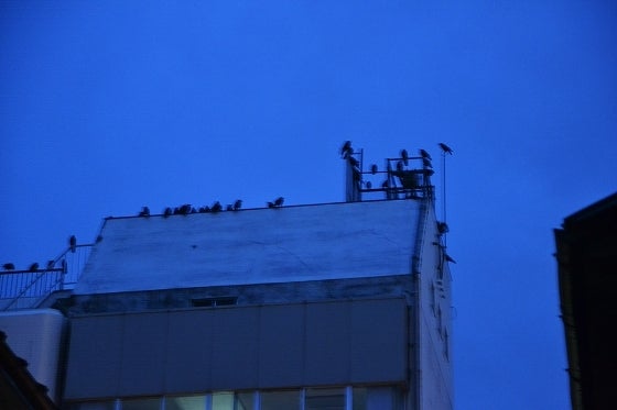 鉄 は 熱 い う ち に 打 て (*゚∀゚)=3ムッハー