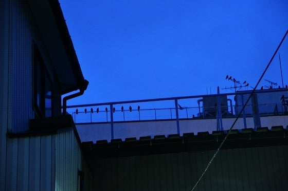 鉄 は 熱 い う ち に 打 て (*゚∀゚)=3ムッハー