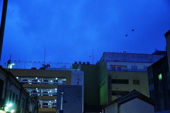 鉄 は 熱 い う ち に 打 て (*゚∀゚)=3ムッハー