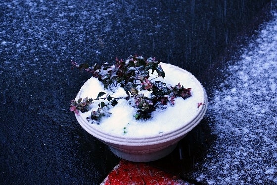 鉄　は　熱　い　う　ち　に　打　て　　　　(*ﾟ∀ﾟ)=3ﾑｯﾊｰ