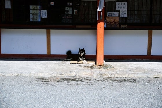 鉄　は　熱　い　う　ち　に　打　て　　　　(*ﾟ∀ﾟ)=3ﾑｯﾊｰ