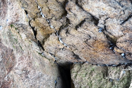 鉄　は　熱　い　う　ち　に　打　て　　　　(*ﾟ∀ﾟ)=3ﾑｯﾊｰ