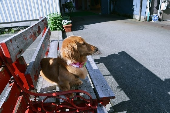 鉄　は　熱　い　う　ち　に　打　て　　　　(*ﾟ∀ﾟ)=3ﾑｯﾊｰ