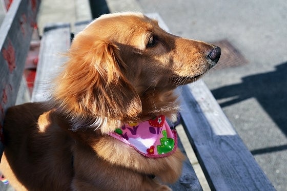 鉄　は　熱　い　う　ち　に　打　て　　　　(*ﾟ∀ﾟ)=3ﾑｯﾊｰ