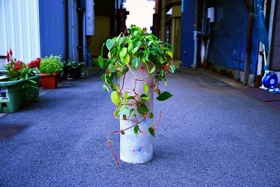 鉄　は　熱　い　う　ち　に　打　て　　　　(*ﾟ∀ﾟ)=3ﾑｯﾊｰ