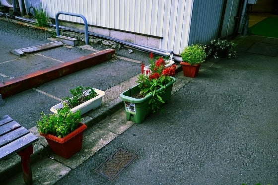 鉄　は　熱　い　う　ち　に　打　て　　　　(*ﾟ∀ﾟ)=3ﾑｯﾊｰ