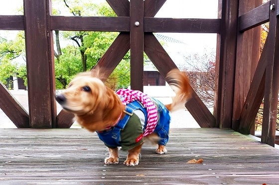 鉄　は　熱　い　う　ち　に　打　て　　　　(*ﾟ∀ﾟ)=3ﾑｯﾊｰ