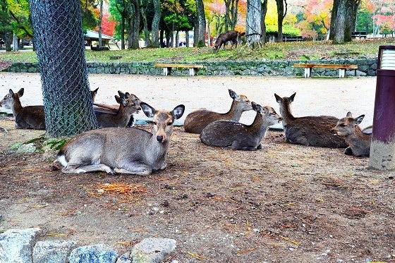 鉄　は　熱　い　う　ち　に　打　て　　　　(*ﾟ∀ﾟ)=3ﾑｯﾊｰ