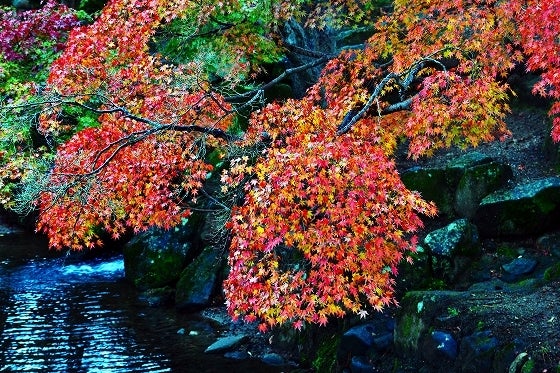 鉄　は　熱　い　う　ち　に　打　て　　　　(*ﾟ∀ﾟ)=3ﾑｯﾊｰ