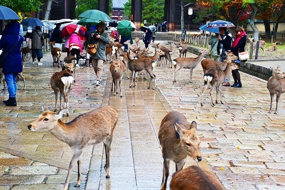 鉄　は　熱　い　う　ち　に　打　て　　　　(*ﾟ∀ﾟ)=3ﾑｯﾊｰ