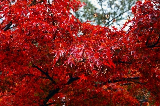 鉄　は　熱　い　う　ち　に　打　て　　　　(*ﾟ∀ﾟ)=3ﾑｯﾊｰ