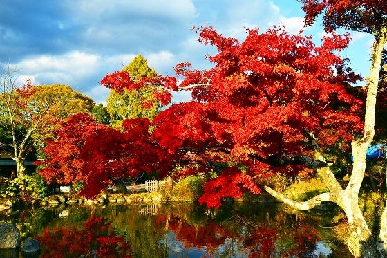 鉄　は　熱　い　う　ち　に　打　て　　　　(*ﾟ∀ﾟ)=3ﾑｯﾊｰ